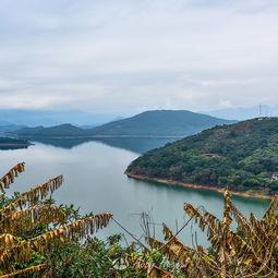 莆田水库爆料最新消息,最新爆料揭示惊人真相！”  第2张