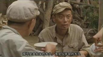 活着在线观看,一部生命不屈的史诗  第2张